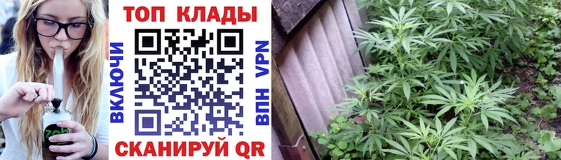 Хочу наркоту Буинск Амфетамин  Канабис  Галлюциногенные грибы  omg как войти  СОЛЬ  МЕТАДОН 