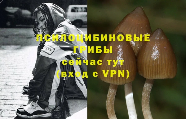прущие крисы Баксан