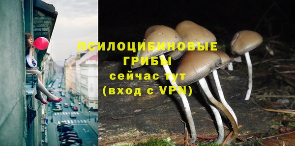 дмт Балахна