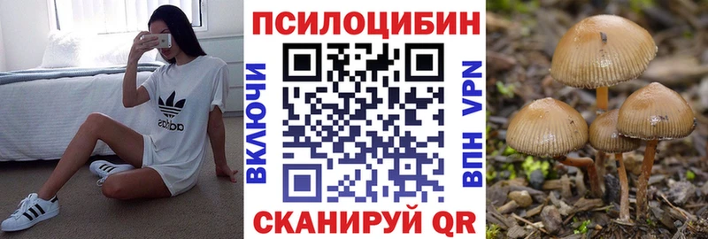 хочу   Буинск  Псилоцибиновые грибы прущие грибы 